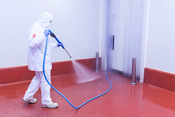 Best Restaurant Pressure Washing  in Vinton, TX